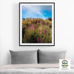 Print - County Clare Rainbow over Roadside Wildflowers - Moods of Ireland