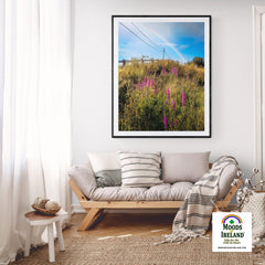 Print - County Clare Rainbow over Roadside Wildflowers - Moods of Ireland
