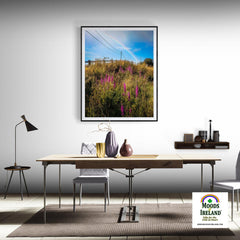 Print - County Clare Rainbow over Roadside Wildflowers - Moods of Ireland