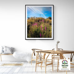 Print - County Clare Rainbow over Roadside Wildflowers - Moods of Ireland