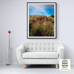 Print - County Clare Rainbow over Roadside Wildflowers - Moods of Ireland