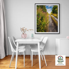 Print - Roadside Wildflowers at Kilkerin Point, County Clare - Moods of Ireland