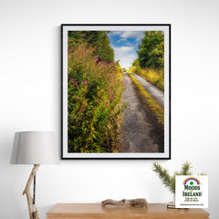 Print - Roadside Wildflowers at Kilkerin Point, County Clare - Moods of Ireland