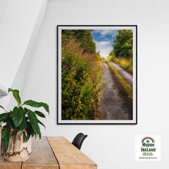 Print - Roadside Wildflowers at Kilkerin Point, County Clare - Moods of Ireland