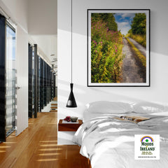 Print - Roadside Wildflowers at Kilkerin Point, County Clare - Moods of Ireland