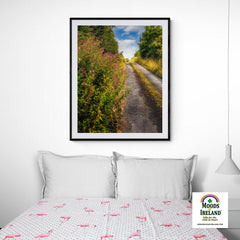 Print - Roadside Wildflowers at Kilkerin Point, County Clare - Moods of Ireland