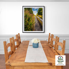 Print - Roadside Wildflowers at Kilkerin Point, County Clare - Moods of Ireland