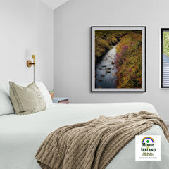 Print - Late Summer Symphony of Colours, County Clare - Moods of Ireland