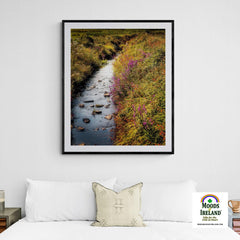 Print - Late Summer Symphony of Colours, County Clare - Moods of Ireland