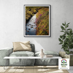 Print - Late Summer Symphony of Colours, County Clare - Moods of Ireland