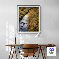 Print - Late Summer Symphony of Colours, County Clare - Moods of Ireland