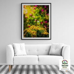 Print - Irish Wildflowers of Liscormick, County Clare - Moods of Ireland