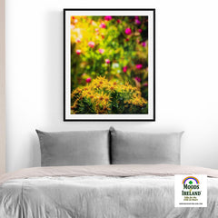 Print - Irish Wildflowers of Liscormick, County Clare - Moods of Ireland