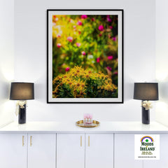 Print - Irish Wildflowers of Liscormick, County Clare - Moods of Ireland