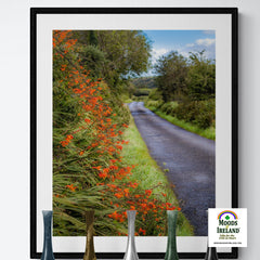 Print - Orange Wildflower Cascade along Irish Country Road - James A. Truett - Moods of Ireland - Irish Art