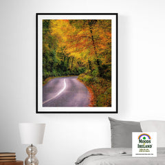 Print - Rural Irish Road under Autumn Canopy, County Clare - James A. Truett - Moods of Ireland - Irish Art