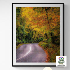 Print - Rural Irish Road under Autumn Canopy, County Clare - James A. Truett - Moods of Ireland - Irish Art