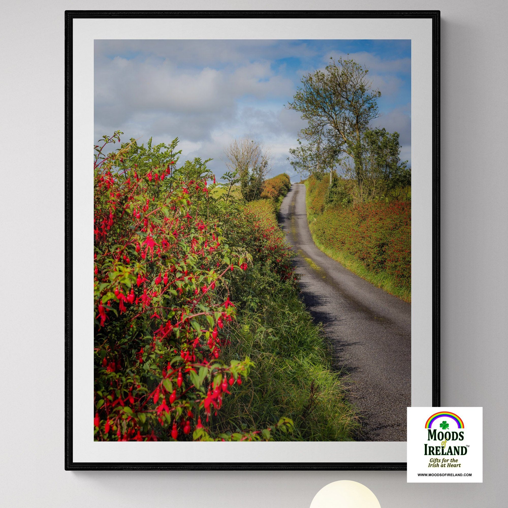 Print - Fuchsias Blooming in the Irish Countryside - James A. Truett - Moods of Ireland - Irish Art