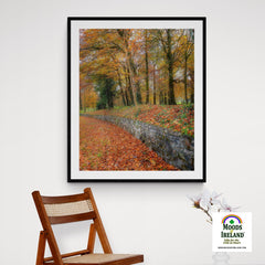 Print - Autumn Colours in Killimer, County Clare - James A. Truett - Moods of Ireland - Irish Art