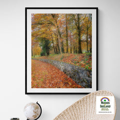 Print - Autumn Colours in Killimer, County Clare - James A. Truett - Moods of Ireland - Irish Art