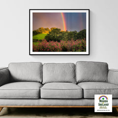 Print - County Clare Rainbow and Wildflowers - James A. Truett - Moods of Ireland - Irish Art