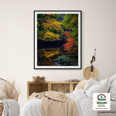 Print - Autumn on Ireland's Cloon River, County Clare - James A. Truett - Moods of Ireland - Irish Art