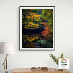 Print - Autumn on Ireland's Cloon River, County Clare - James A. Truett - Moods of Ireland - Irish Art