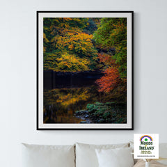 Print - Autumn on Ireland's Cloon River, County Clare - James A. Truett - Moods of Ireland - Irish Art