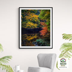 Print - Autumn on Ireland's Cloon River, County Clare - James A. Truett - Moods of Ireland - Irish Art