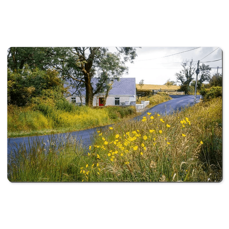 Desk Mat - Summer Wildflowers near Kildysart, County Clare - James A. Truett - Moods of Ireland - Irish Art