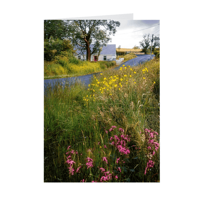 Folded Note Cards - Summer Wildflowers near Kildysart, County Clare - James A. Truett - Moods of Ireland - Irish Art