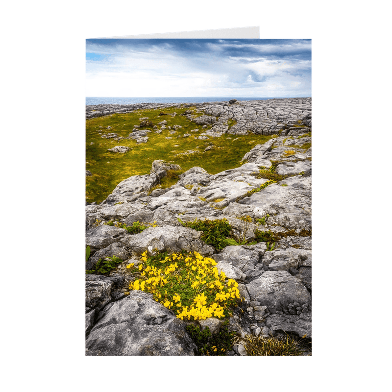 Folded Note Cards - Gorse in the Rugged Burren Limestone - James A. Truett - Moods of Ireland - Irish Art