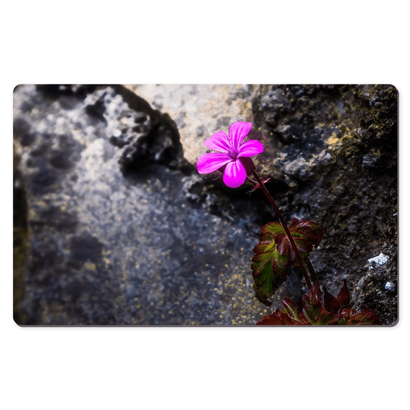 Desk Mat - Spring Wildflowers Emerging from Stone, County Clare - James A. Truett - Moods of Ireland - Irish Art