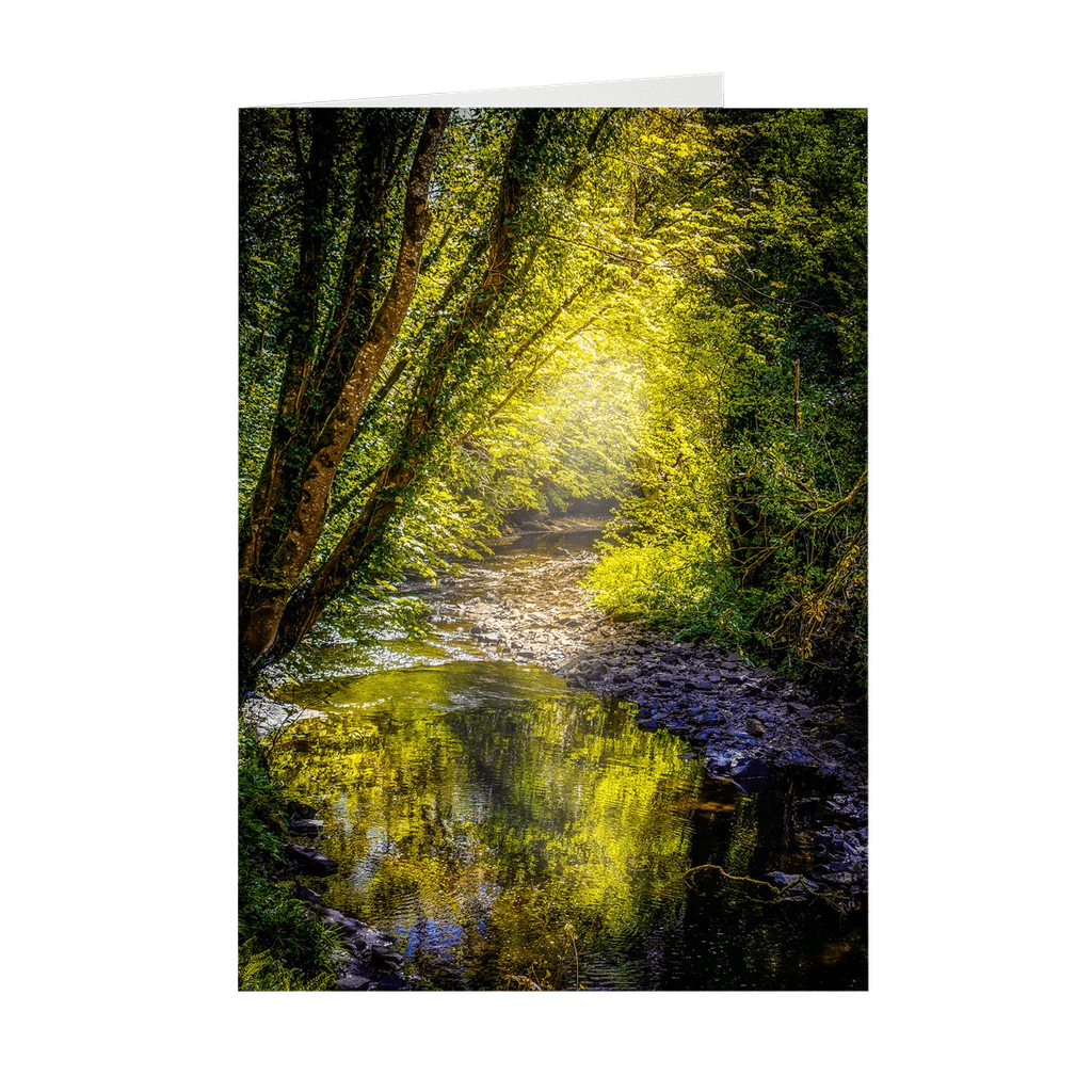 Folded Note Cards - Sunrays through Canopy over Owenslieve River, County Clare - James A. Truett - Moods of Ireland - Irish Art