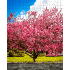 Puzzle - Cherry Blossom Explosion, Ennis, County Clare - James A. Truett - Moods of Ireland - Irish Art