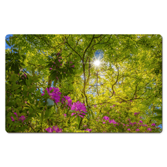 Desk Mat - Sun rays and Rhododendrons in Paradise, County Clare - James A. Truett - Moods of Ireland - Irish Art