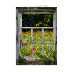 Folded Note Cards - Irish Wildflower Meadow framed by Weathered Window - James A. Truett - Moods of Ireland - Irish Art