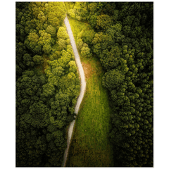 Print - Forest Path at Lough Graney, County Clare - James A. Truett - Moods of Ireland - Irish Art