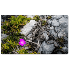 Desk Mat - Lone Wildflower in the Burren Limestone - James A. Truett - Moods of Ireland - Irish Art