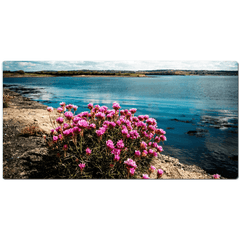 Desk Mat - Sea Pinks along Ireland's Shannon Estuary - James A. Truett - Moods of Ireland - Irish Art