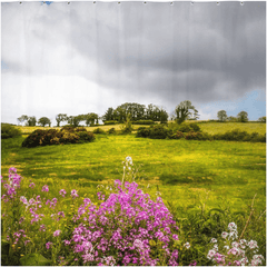 Shower Curtain - Lissycasey Wildflowers, County Clare, Ireland - James A. Truett - Moods of Ireland - Irish Art