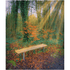 Shower Curtain - Bench at Dromore Wood in Autumn - James A. Truett - Moods of Ireland - Irish Art