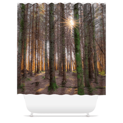 Shower Curtain - Enchanted Irish Forest in Autumn Light, County Clare - James A. Truett - Moods of Ireland - Irish Art