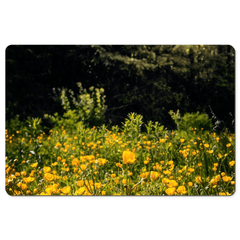 Desk Mat - Merry Meadow of Buttercups, County Clare - James A. Truett - Moods of Ireland - Irish Art