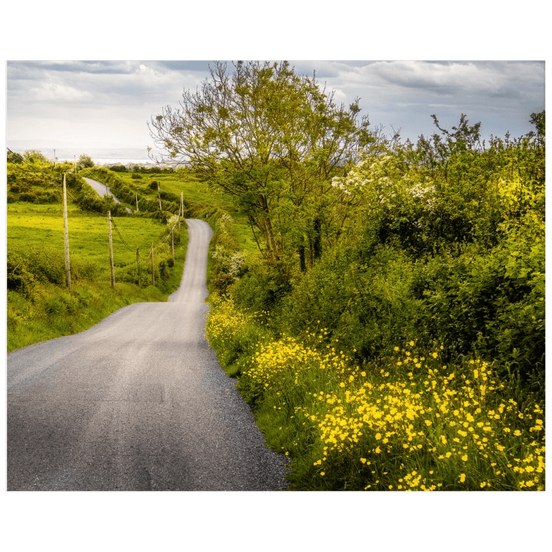 Print - Road through Irish Countryside, County Clare - James A. Truett - Moods of Ireland - Irish Art