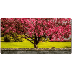 Desk Mat - Cherry Blossom Explosion, Ennis, County Clare - James A. Truett - Moods of Ireland - Irish Art