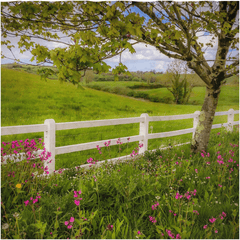 Shower Curtain - Ballynacally Wildflower Vista - James A. Truett - Moods of Ireland - Irish Art