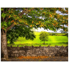 Print - Changing Season in the Irish Countryside, County Clare - Moods of Ireland