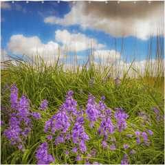 Shower Curtain - Ballycorick Bluebells - James A. Truett - Moods of Ireland - Irish Art