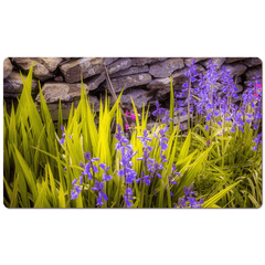 Desk Mat - Spring Bluebells and Stone Fence, County Clare - James A. Truett - Moods of Ireland - Irish Art